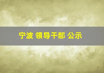 宁波 领导干部 公示